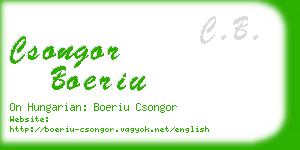 csongor boeriu business card